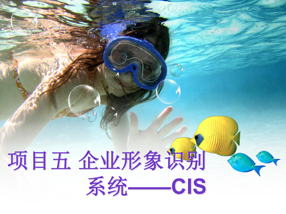 企业形象识别系统-CIS课件.ppt_第1页