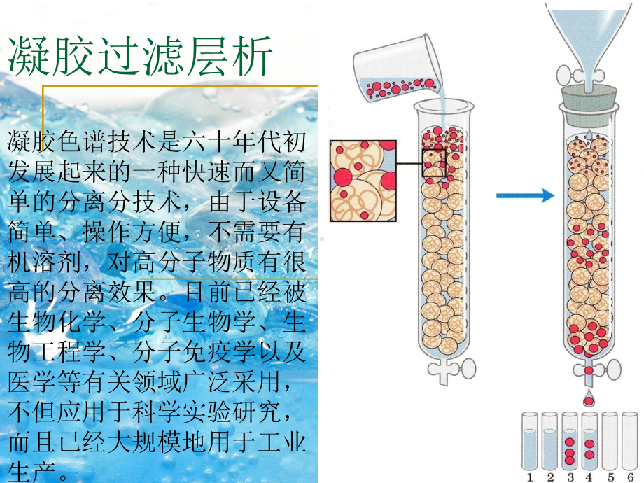 凝胶过滤层析课件2.ppt_第1页