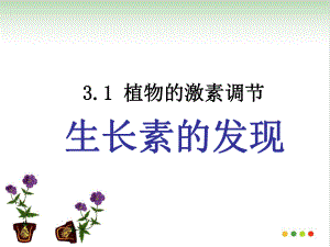 《植物生长素》人教版精讲课件-2.ppt