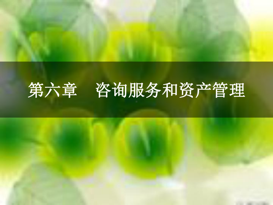 咨询服务和资产管理课件.ppt_第1页