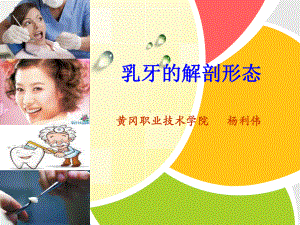 口腔解剖生理学-乳牙的解剖形态-课件.ppt