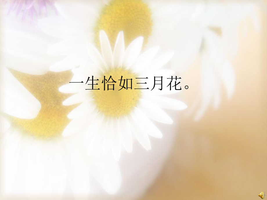 一生恰如三月花课件.ppt_第1页