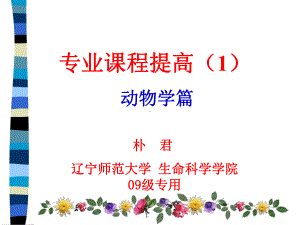 专业提高课课件1.ppt