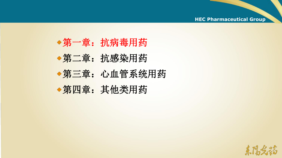 公司现有药品特征及优势(改)课件.ppt_第3页