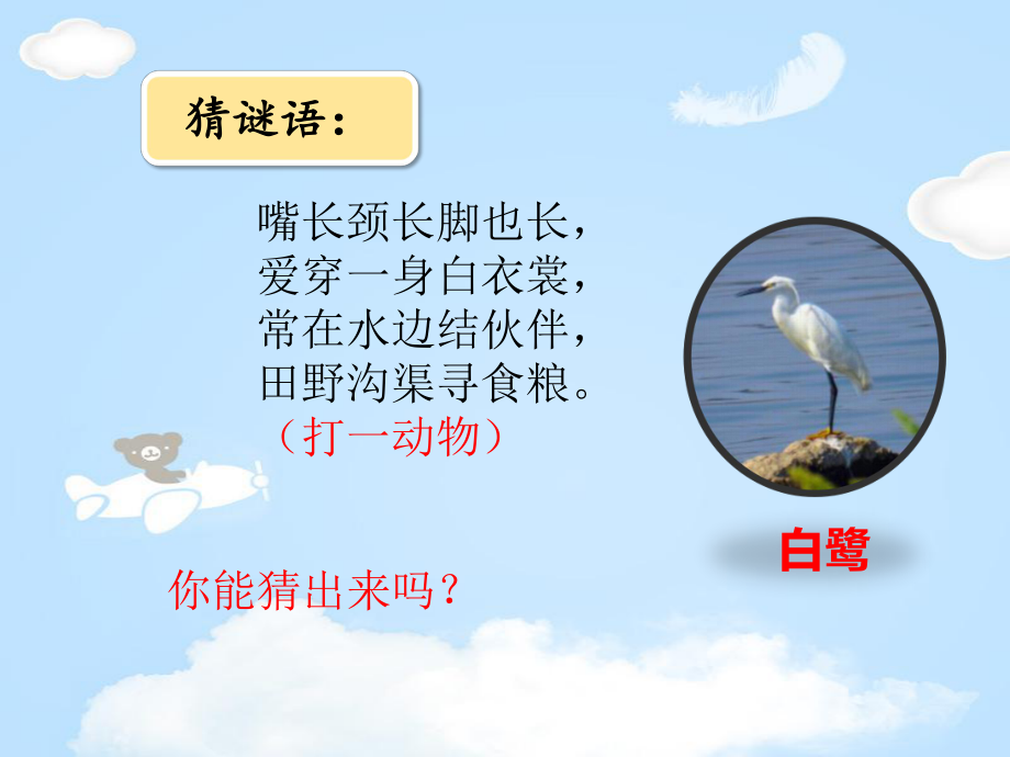 《白鹭》教学课件.pptx_第2页