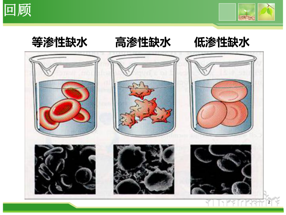 医用化学-第二章-电解质溶液教学课件.ppt_第2页