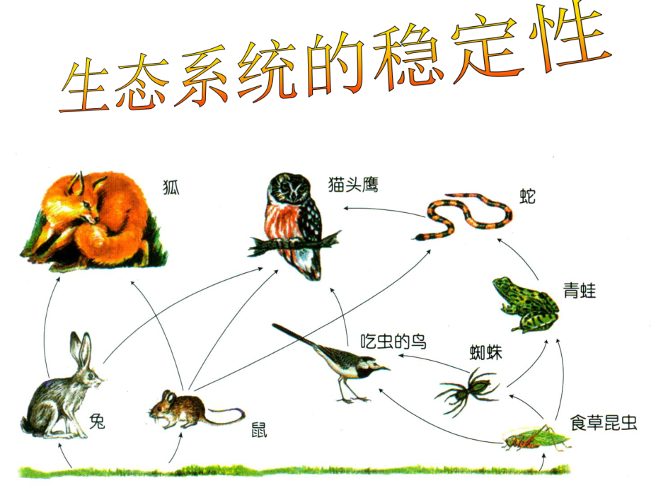 《生态平衡》苏教版科学1课件.ppt_第1页