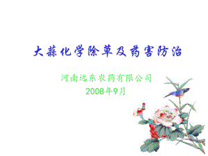 大蒜化学除草及药害课件.ppt