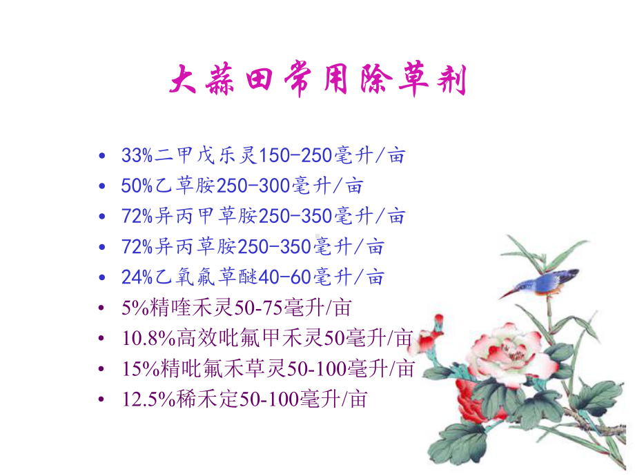 大蒜化学除草及药害课件.ppt_第2页