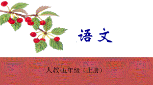 《松鼠》课件(共19张).pptx