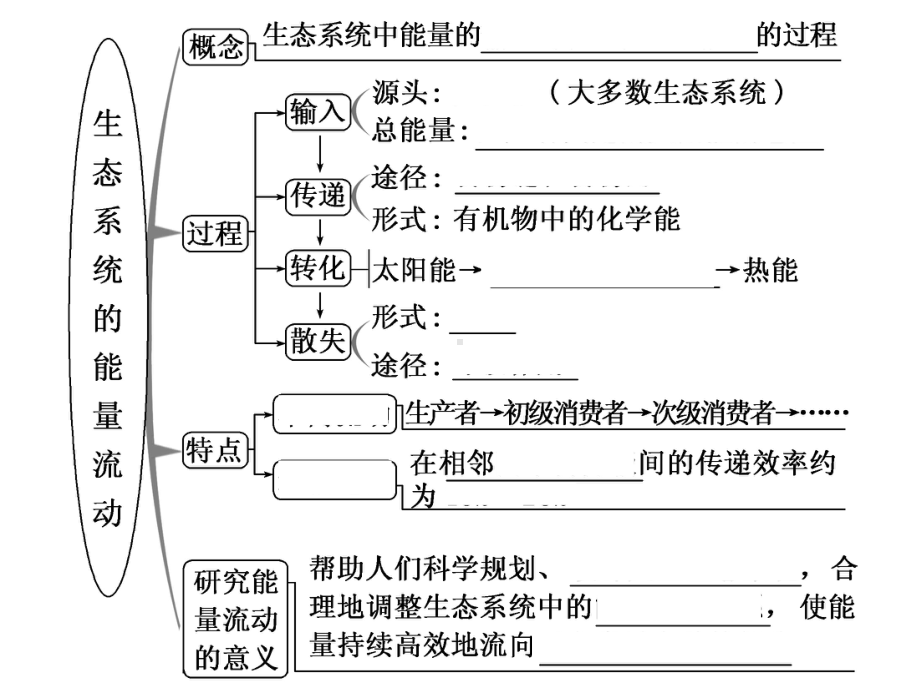 一轮复习-生态系统的能量流动和物质循环-课件.ppt_第3页