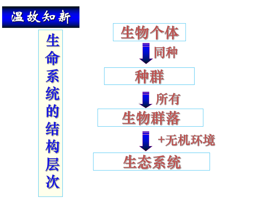 一生态系统的结构课件.pptx_第1页