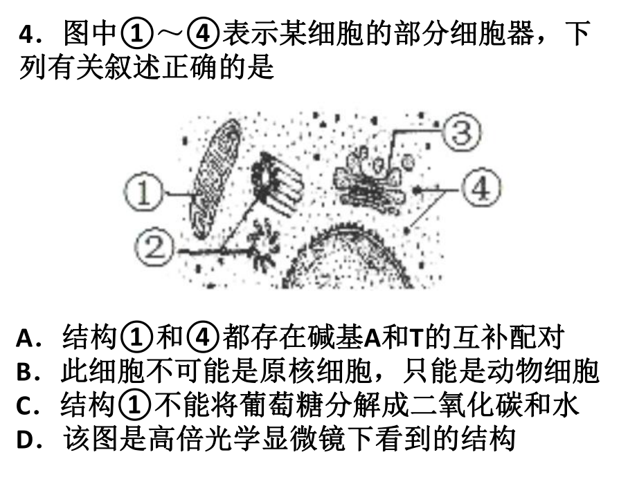 专题一--细胞的物质和结构基础课件.ppt_第2页