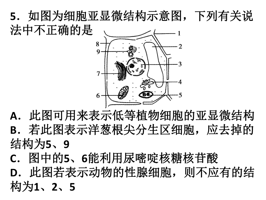 专题一--细胞的物质和结构基础课件.ppt_第3页