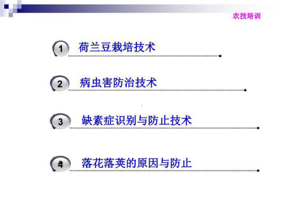 《荷兰豆栽培》课件.ppt_第3页