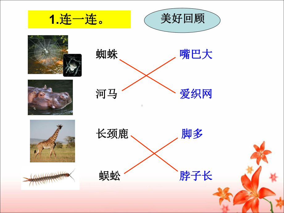 《蜘蛛开店》第二课时课件-课件.ppt_第2页