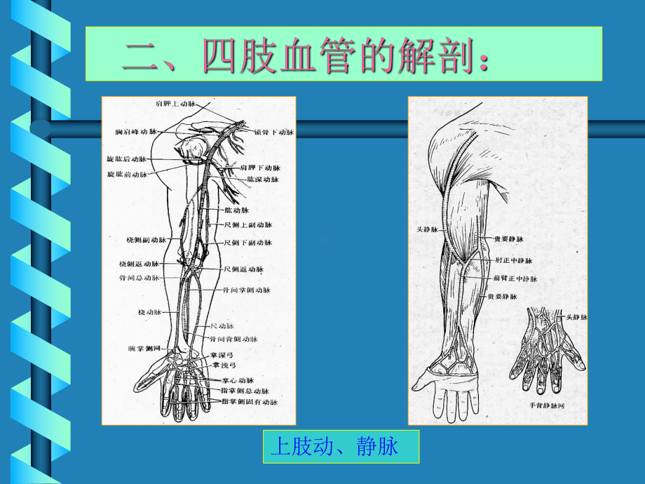 四肢血管损伤显微外科治疗系列课件.ppt_第3页