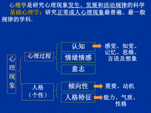 基础心理学复习课件.ppt