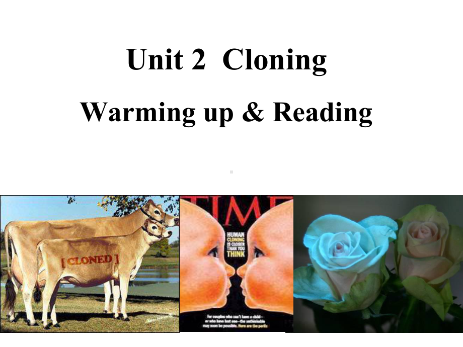 人教课标版高中英语选修8-Unit2-Warming-up-and-Reading-(共32张PP课件.ppt--（课件中不含音视频）_第1页