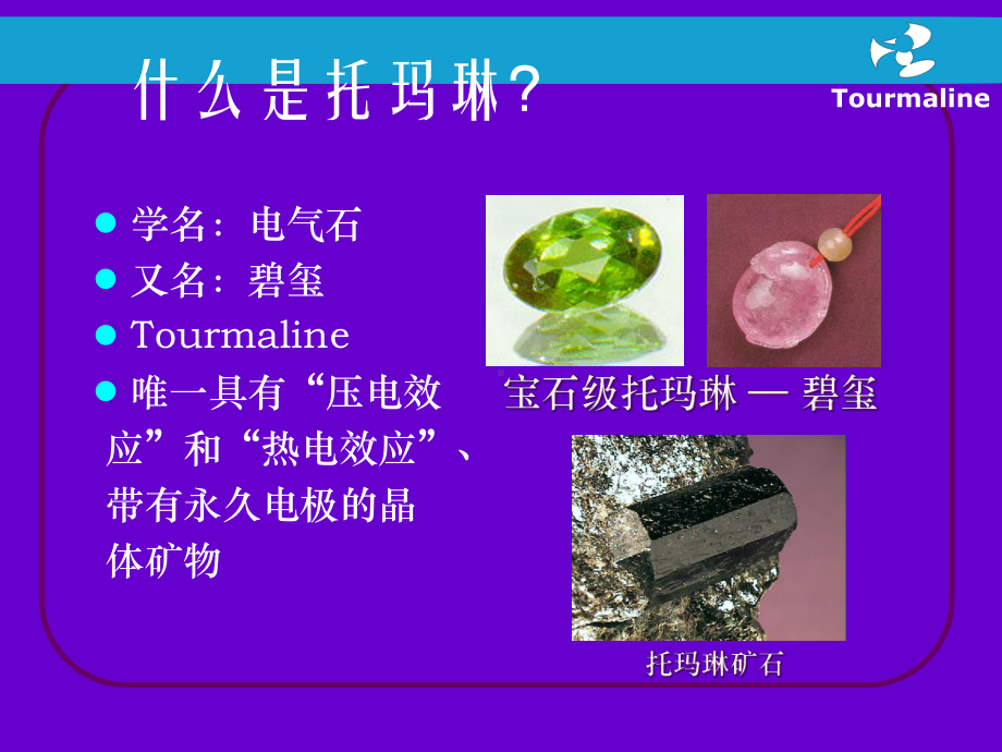 健康的生活来自托玛琳课件.ppt_第2页