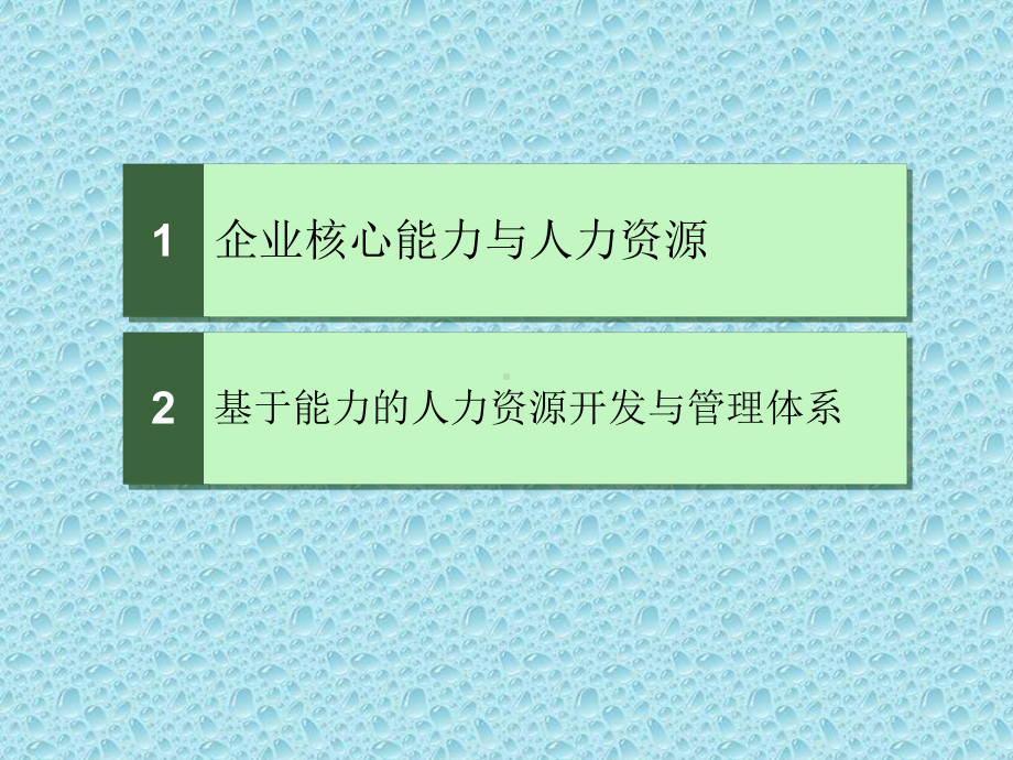 基于能力的人力资源开发与管理体系课件.ppt_第2页