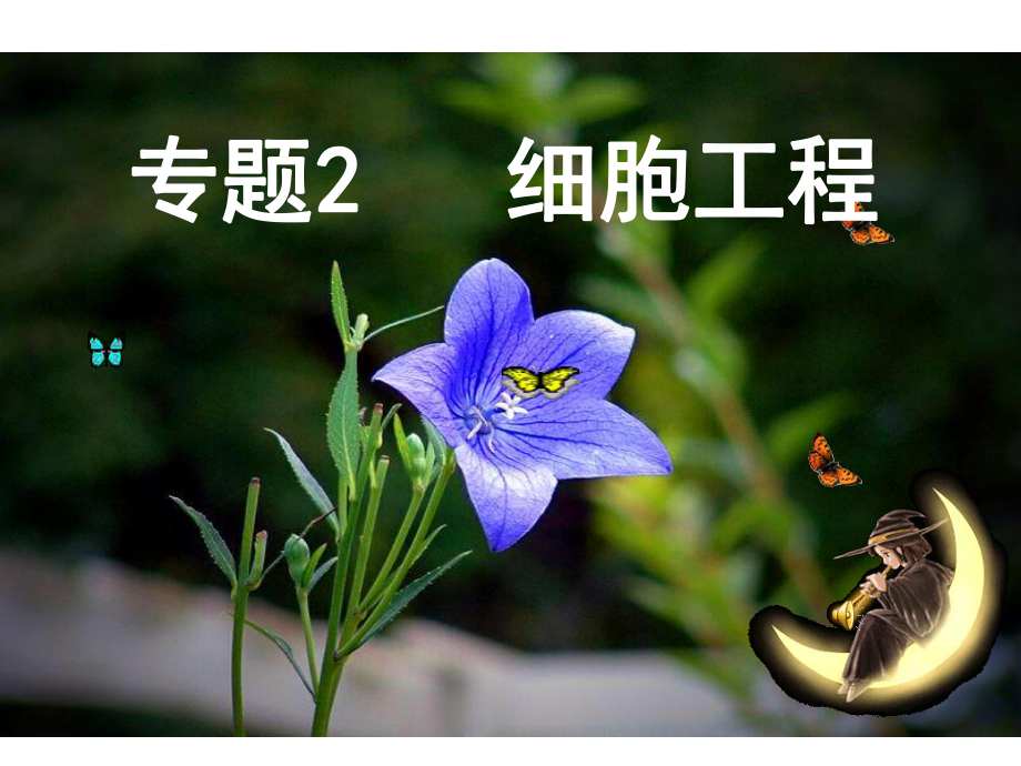 《植物细胞工程》课件.ppt_第1页