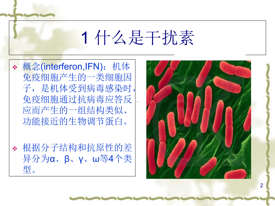 基因工程药物之干扰素的制备流程课件(-37张).ppt_第2页