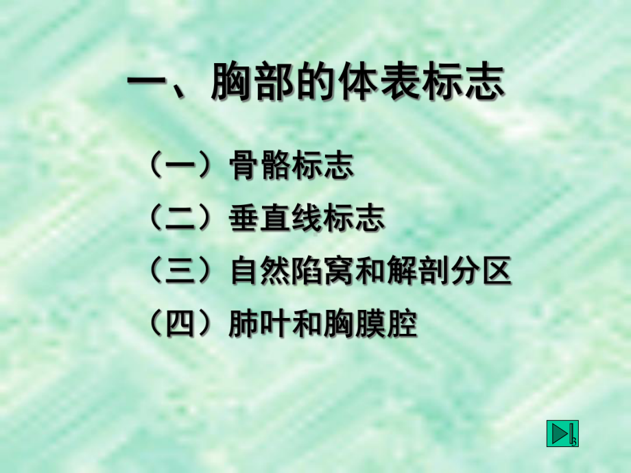 健康评估胸部评估课件1.ppt_第3页