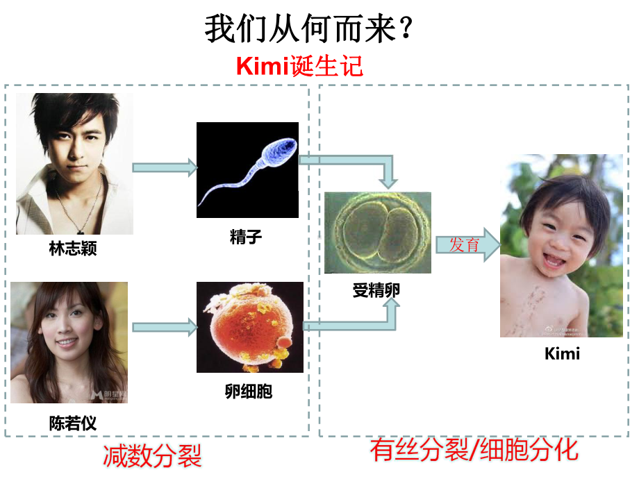 人教版高中生物必修2第2章一-减数分裂(共48张)课件.ppt_第1页