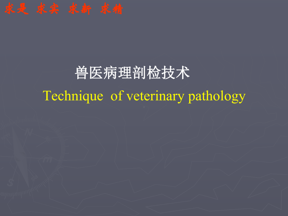 （病理课件）-兽医病理剖检技术.ppt_第1页