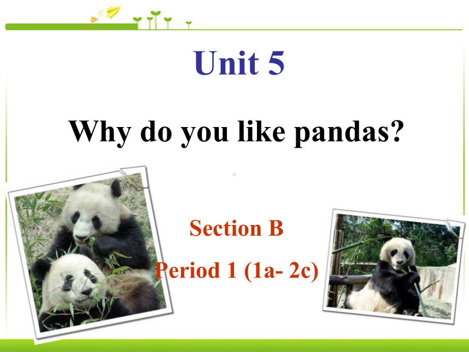 《Why-do-you-like-pandas》精选教学优质课件5.ppt_第1页