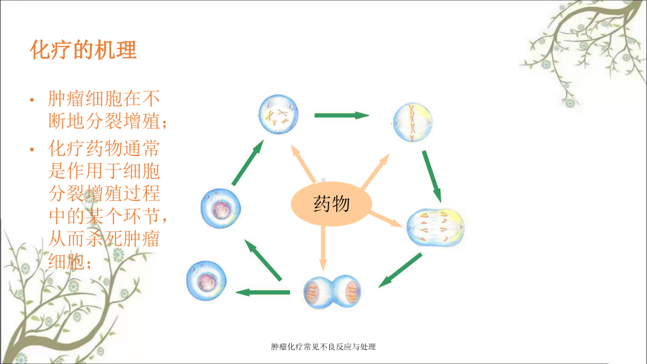 肿瘤化疗常见不良反应与处理课件.ppt_第2页