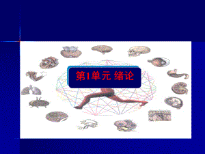 人体生理功能第一章课件.ppt