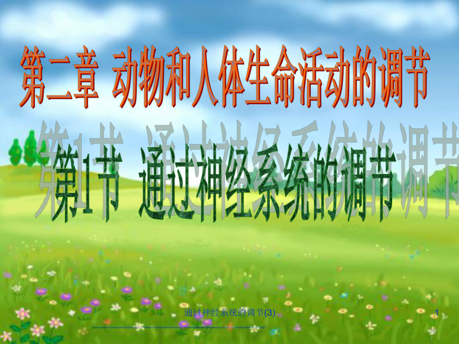 通过神经系统的调节-课件.ppt_第1页