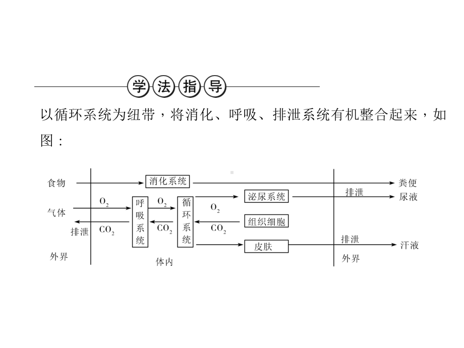 中考生物复习讲练：生物圈中的人(人教版)全面版课件.ppt_第2页