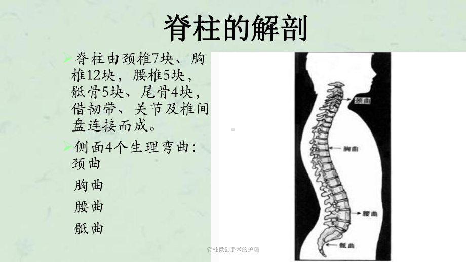 脊柱微创手术的护理课件.ppt_第2页