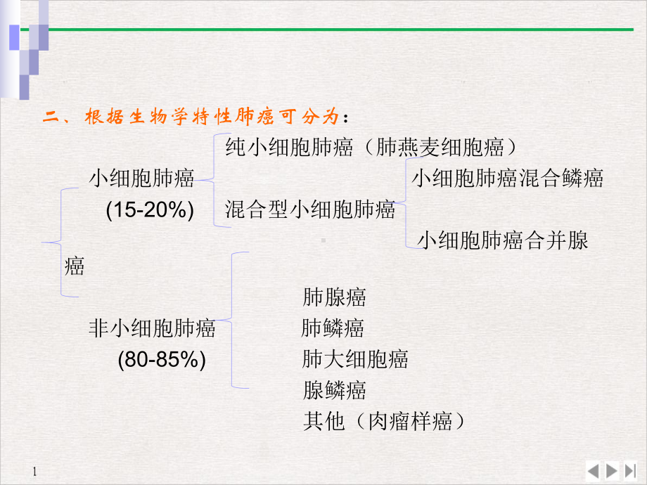 非小细胞肺癌的外科诊疗课件.pptx_第2页