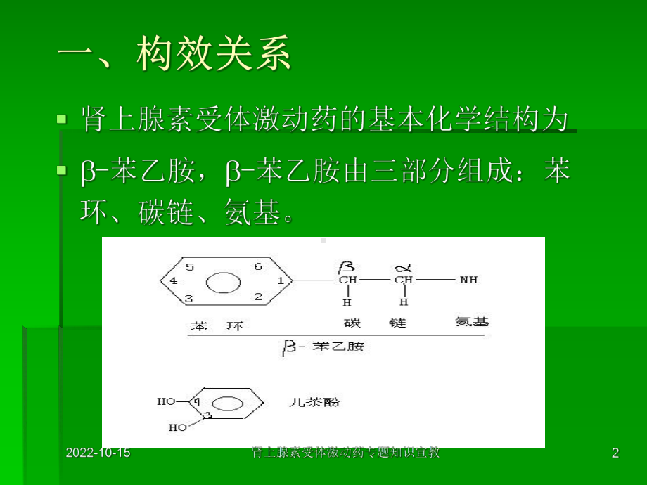 肾上腺素受体激动药专题知识宣教培训课件.ppt_第2页