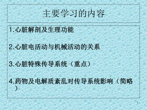 心脏传导系统教学课件.ppt