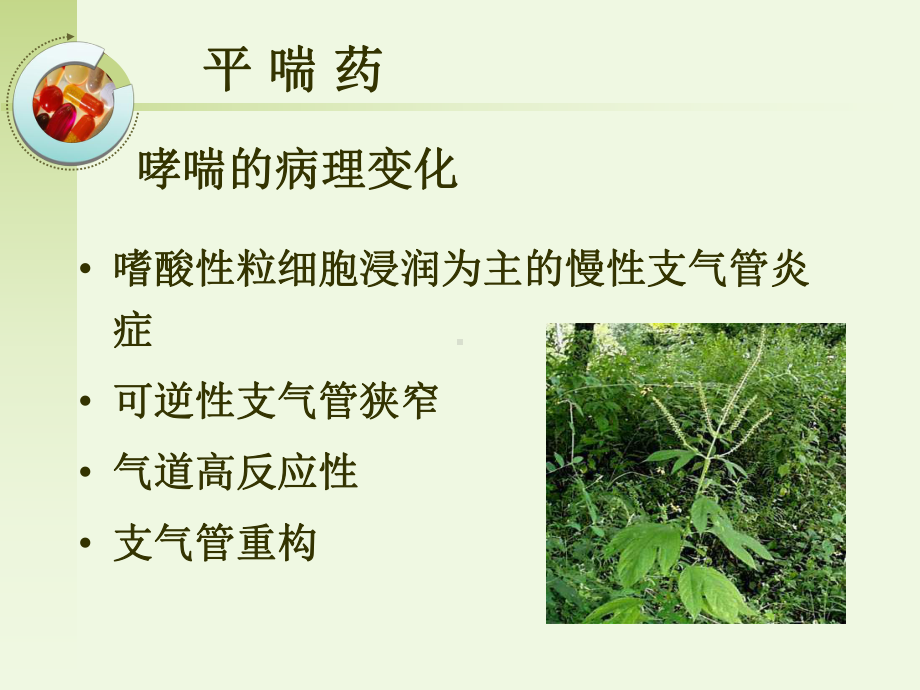 药理学讲义(内脏内分泌系统)课件.ppt_第2页