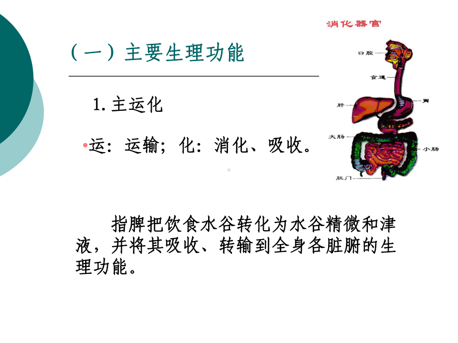 中医基础脾肝肾课件.ppt_第2页