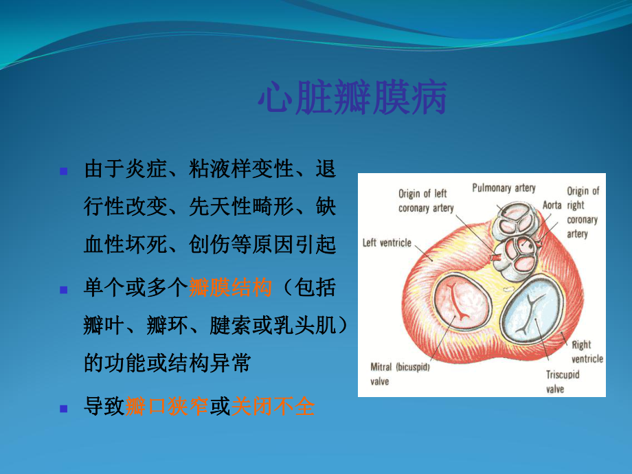 心脏瓣膜病诊断与治疗课件.ppt_第2页