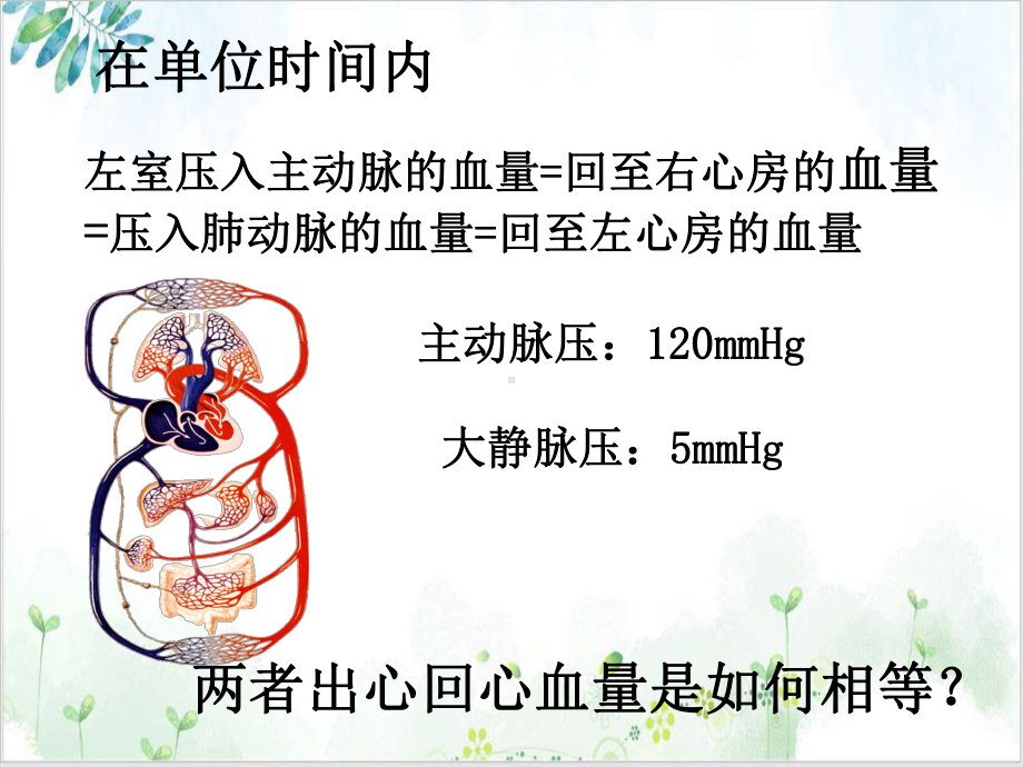 解剖学之心血管系统静脉课件.ppt_第2页