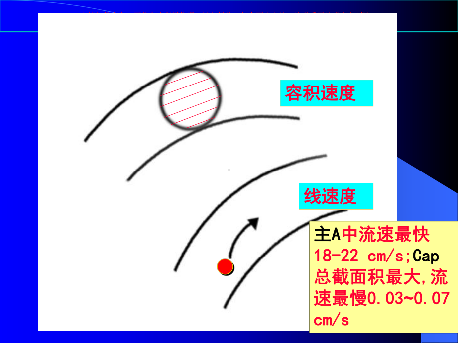 血管生理医学知识讲座培训课件.ppt_第3页