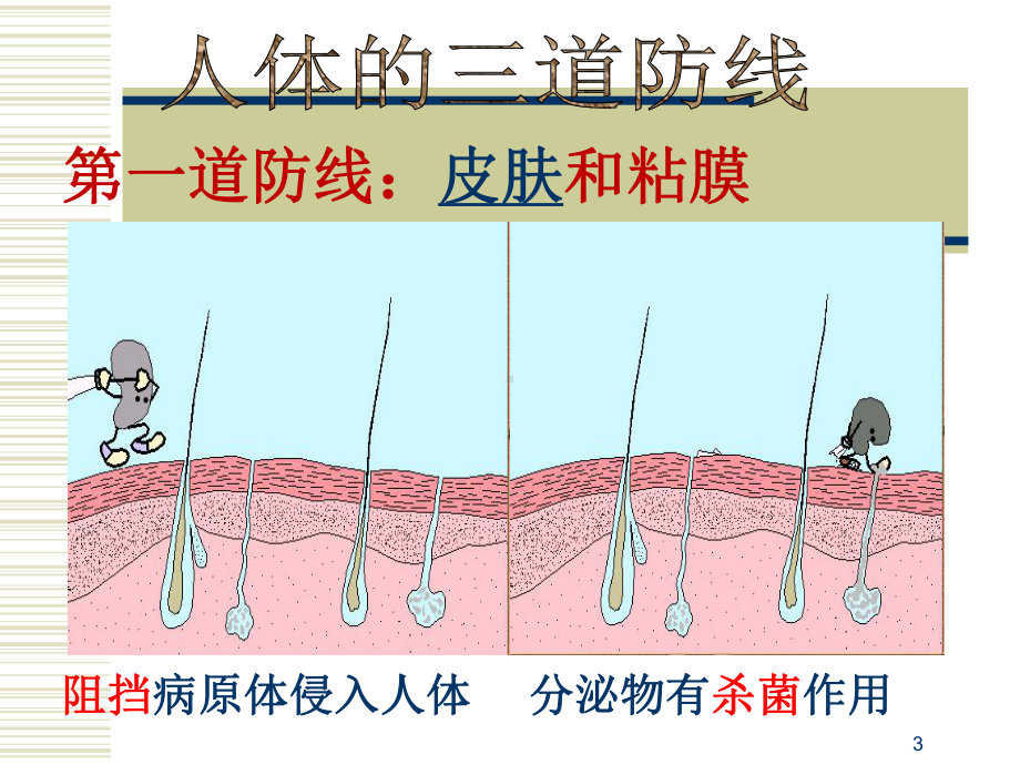 人体三道防线课件.ppt_第3页