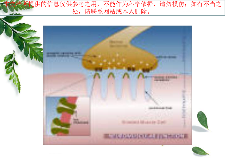 重症肌无力患者的护理查房培训课件.ppt_第3页