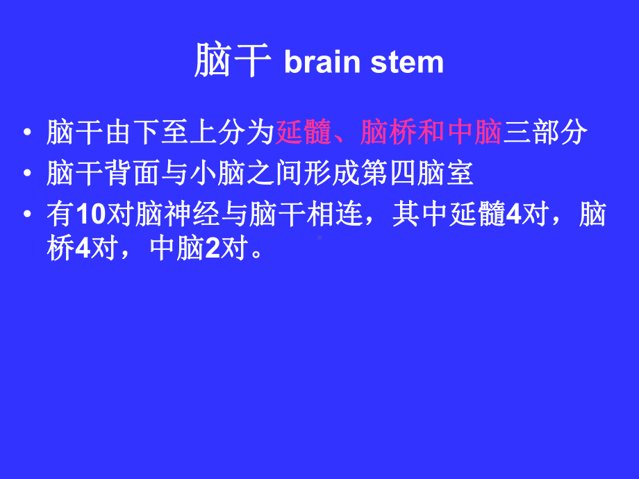 脑神经系统解剖学课件.ppt_第3页