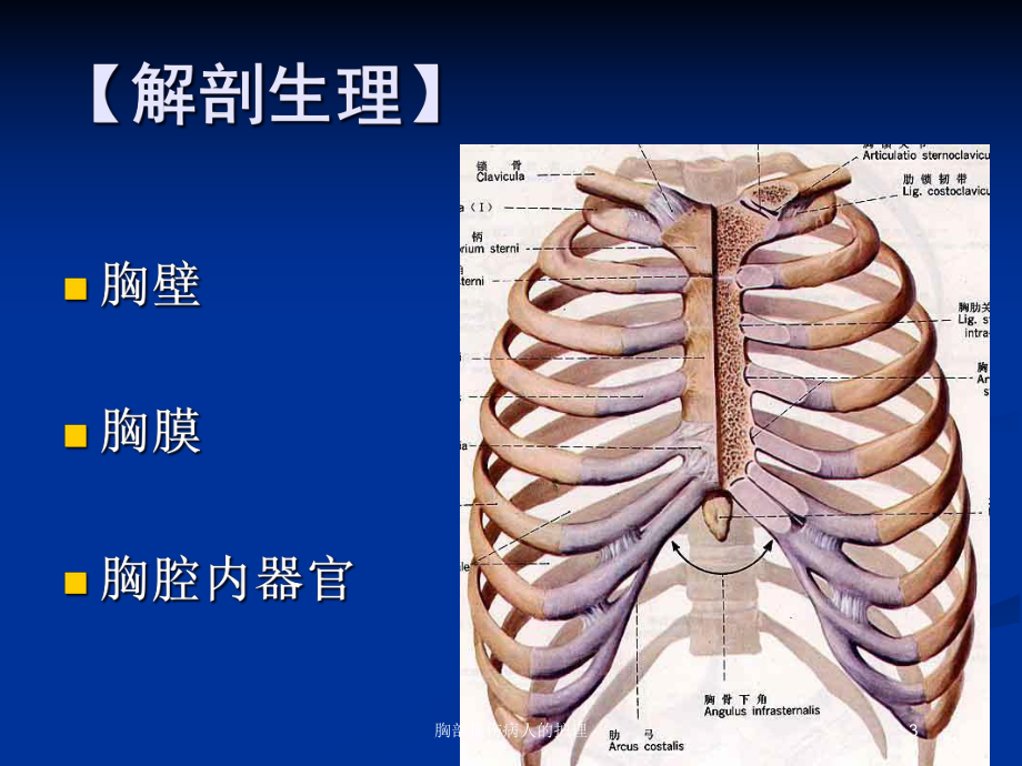 胸部损伤病人的护理培训课件.ppt_第3页