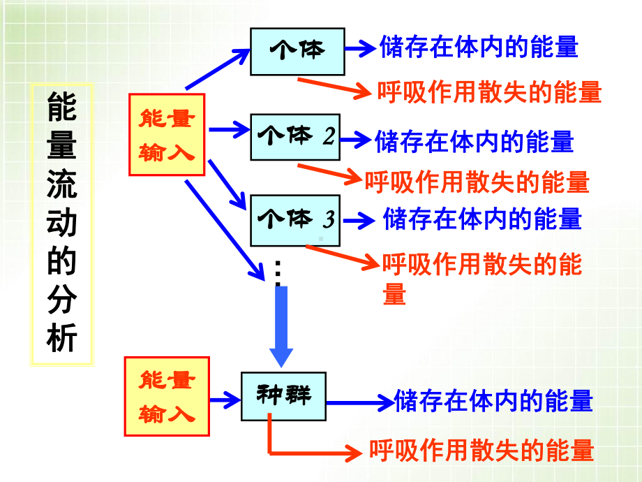 生态系统的能量流动与物质循环(复习)课件.ppt_第3页