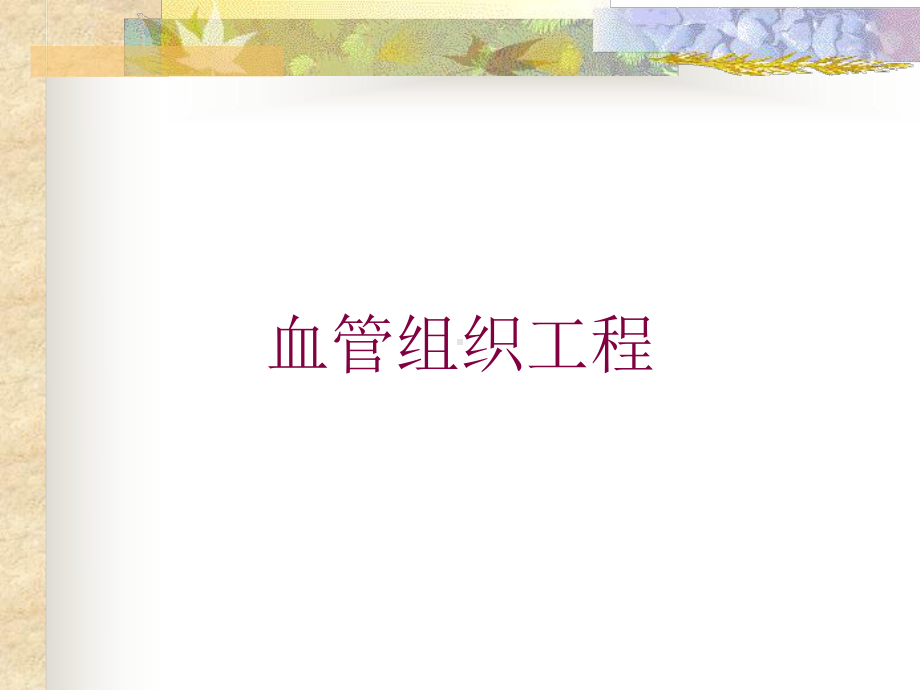 血管组织工程培训课件.ppt_第1页